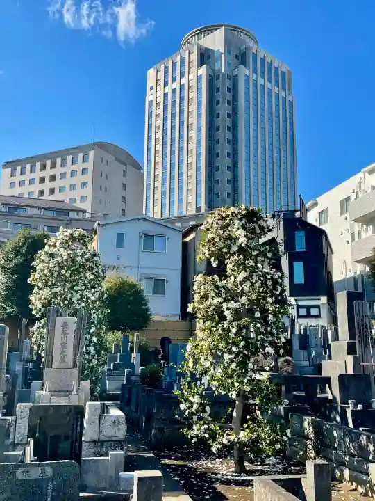東北寺の{uncategorized: "未分類", other: "その他", undefined: "問題あり", building: "その他建物", grave: "お墓", sacred_gate: "鳥居", guardian: "狛犬", statue: "像", buddha: "仏像", history: "歴史", nature: "自然", garden: "庭園", animal: "動物", pagoda: "塔", temizu: "手水舎", mountain_gate: "山門・神門", sanctuary: "本殿・本堂", subordinate: "末社・摂社", art: "芸術", scenery: "景色", jizo: "地蔵", ema: "絵馬", goshuin: "御朱印", omikuji: "おみくじ", items: "授与品その他", amulet: "お守り", goshuincho: "御朱印帳", eats: "食事", festival: "お祭り", votive_dance: "神楽", shichigosan: "七五三参", wedding: "結婚式", experience: "体験その他", initially: "初詣", around: "周辺", anti_infection: "感染症対策"}