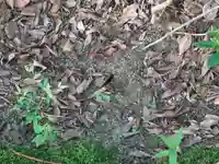 速谷神社(広島県)