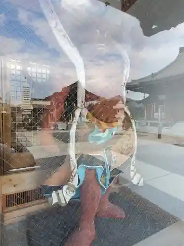 正光寺(埼玉県)