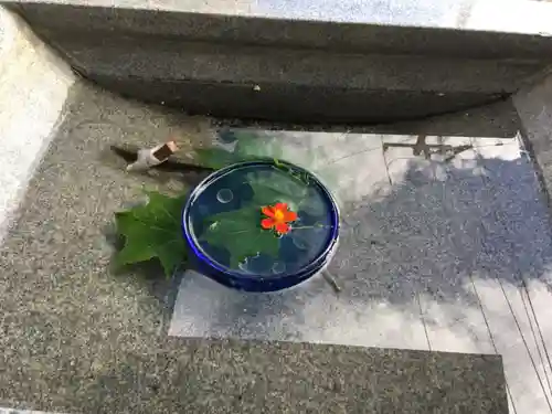 金刀比羅神社の手水舎