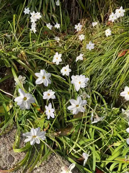 犬山寂光院(愛知県)