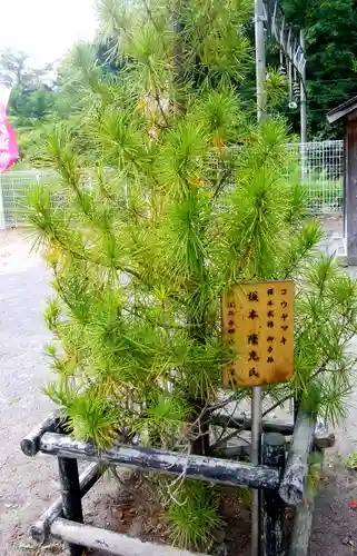 龍宮神社の自然