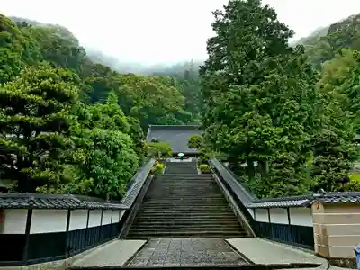 臨済寺のその他建物