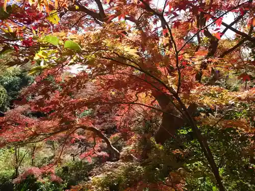 明王院（満願寺別院）の自然