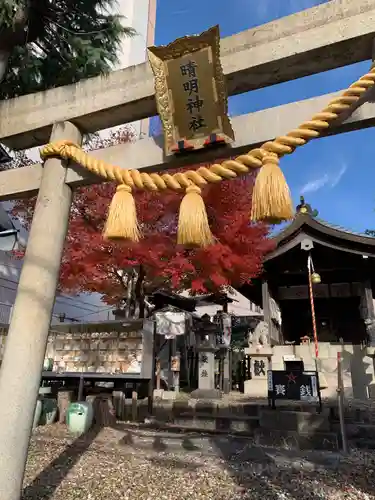 名古屋晴明神社の鳥居