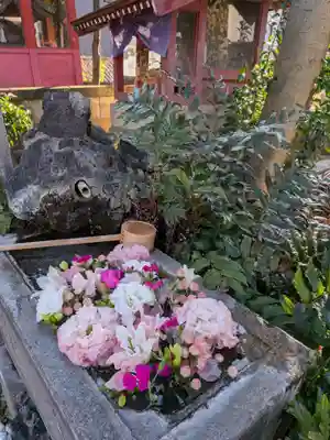 本郷氷川神社(東京都)