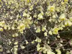 三室戸寺の自然