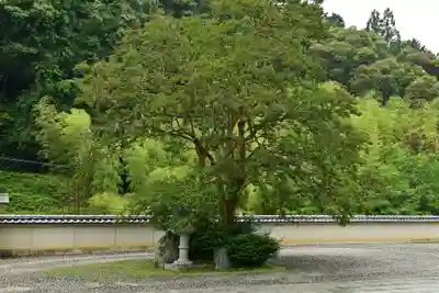 多聞寺(徳島県)