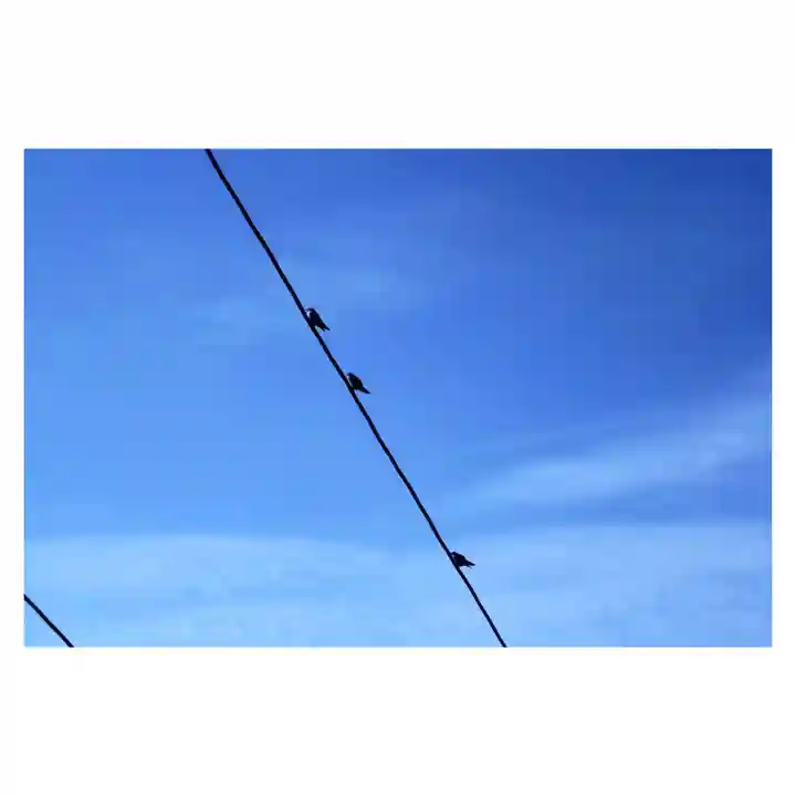 岐阜稲荷山本社(岐阜県)