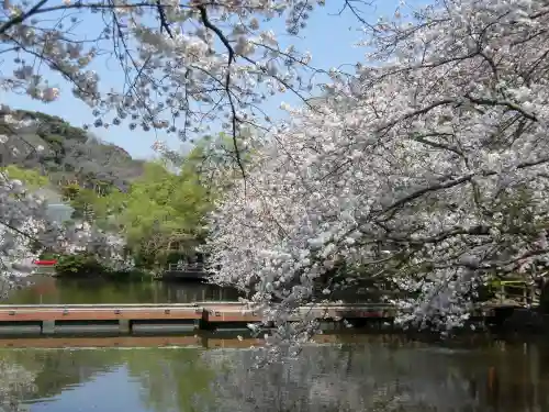 鶴岡八幡宮の{uncategorized: "未分類", other: "その他", undefined: "問題あり", building: "その他建物", grave: "お墓", sacred_gate: "鳥居", guardian: "狛犬", statue: "像", buddha: "仏像", history: "歴史", nature: "自然", garden: "庭園", animal: "動物", pagoda: "塔", temizu: "手水舎", mountain_gate: "山門・神門", sanctuary: "本殿・本堂", subordinate: "末社・摂社", art: "芸術", scenery: "景色", jizo: "地蔵", ema: "絵馬", goshuin: "御朱印", omikuji: "おみくじ", items: "授与品その他", amulet: "お守り", goshuincho: "御朱印帳", eats: "食事", festival: "お祭り", votive_dance: "神楽", shichigosan: "七五三参", wedding: "結婚式", experience: "体験その他", initially: "初詣", around: "周辺", anti_infection: "感染症対策"}