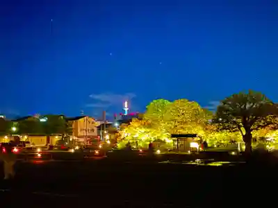 東寺（教王護国寺）(京都府)