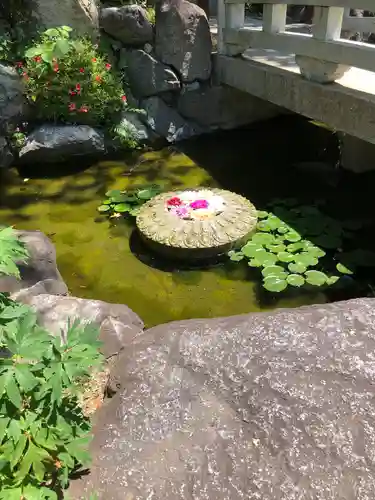 岡寺（龍蓋寺）(奈良県)