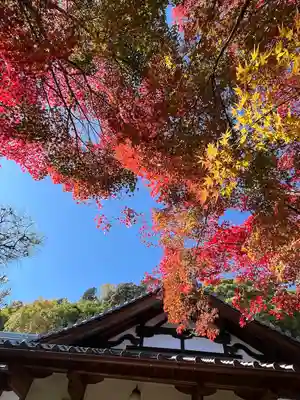 善法律寺(京都府)
