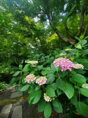 石都々古和気神社(福島県)