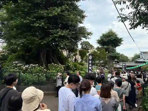 白山神社(東京都)