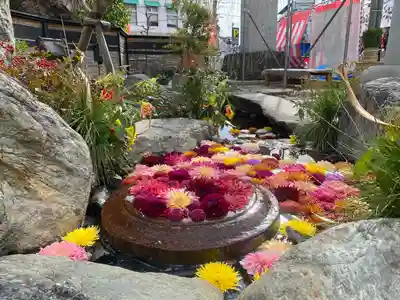 白旗神社(神奈川県)