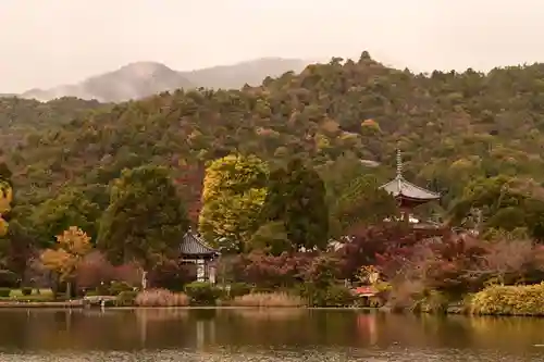 大覚寺(京都府)