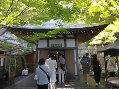 長谷寺(神奈川県)