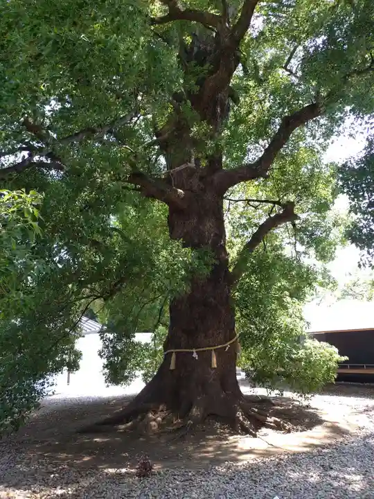 上野東照宮(東京都)