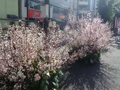 とげぬき地蔵尊 高岩寺の御朱印