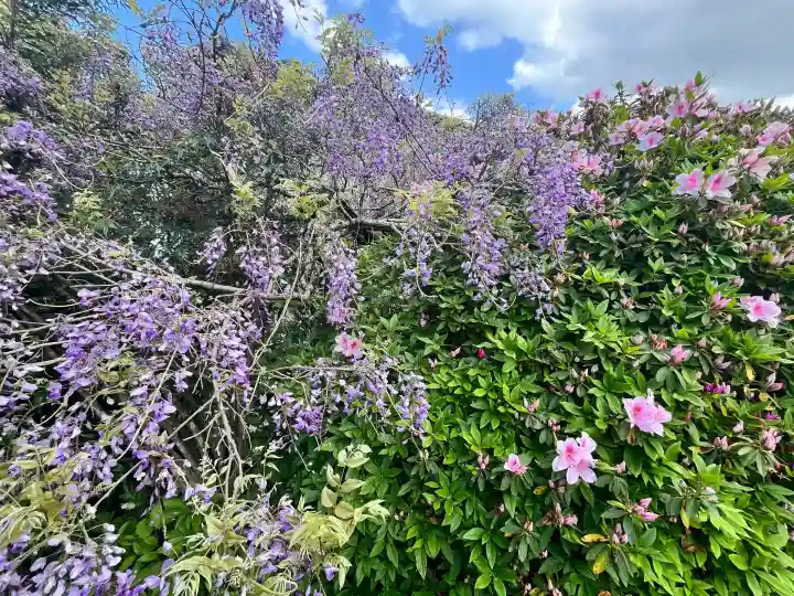 子安地蔵寺の{uncategorized: "未分類", other: "その他", undefined: "問題あり", building: "その他建物", grave: "お墓", sacred_gate: "鳥居", guardian: "狛犬", statue: "像", buddha: "仏像", history: "歴史", nature: "自然", garden: "庭園", animal: "動物", pagoda: "塔", temizu: "手水舎", mountain_gate: "山門・神門", sanctuary: "本殿・本堂", subordinate: "末社・摂社", art: "芸術", scenery: "景色", jizo: "地蔵", ema: "絵馬", goshuin: "御朱印", omikuji: "おみくじ", items: "授与品その他", amulet: "お守り", goshuincho: "御朱印帳", eats: "食事", festival: "お祭り", votive_dance: "神楽", shichigosan: "七五三参", wedding: "結婚式", experience: "体験その他", initially: "初詣", around: "周辺", anti_infection: "感染症対策"}