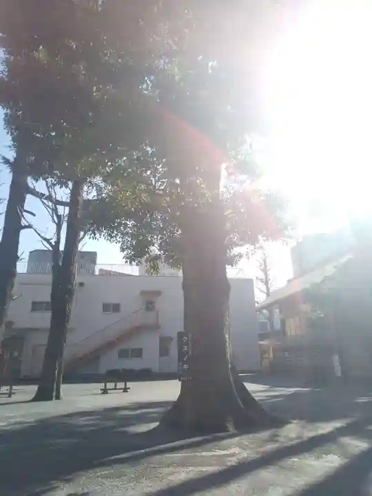 お三の宮日枝神社の自然