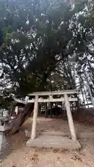 須佐之男神社(奈良県)