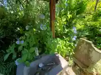 福生寺の自然