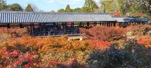 東福禅寺（東福寺）(京都府)
