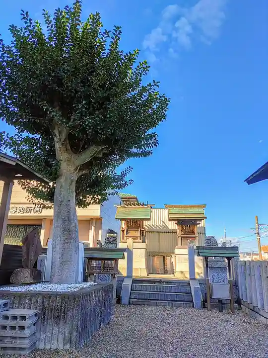 駅前神社の本殿・本堂