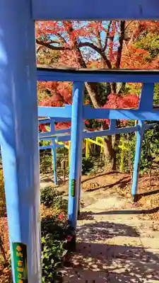 足利織姫神社の鳥居