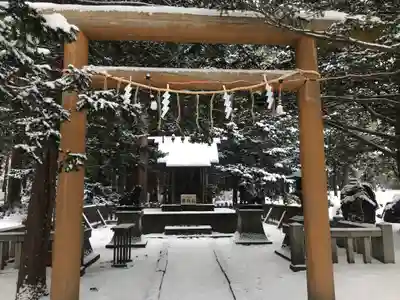 北海道神宮の鳥居