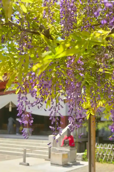 日枝神社(東京都)