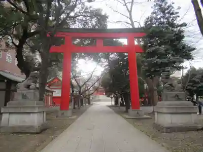 花園神社の鳥居