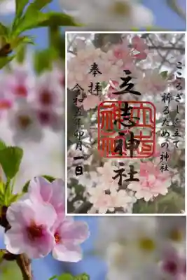 毎月花御朱印　卯月　桜