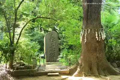 代々木八幡宮(東京都)