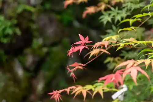 東霧島神社(宮崎県)