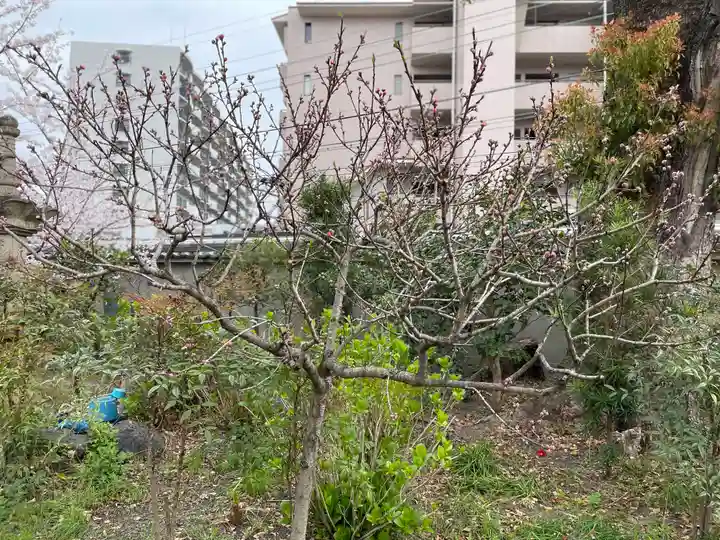 蓮花寺(大阪府)