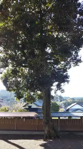 大井神社の自然