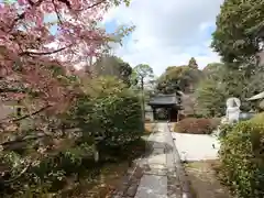 雲龍院(京都府)