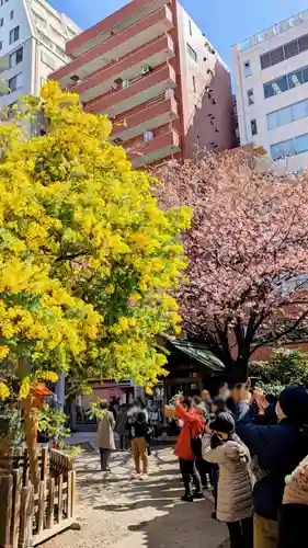 蔵前神社の景色