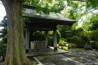 乗蓮寺の手水舎