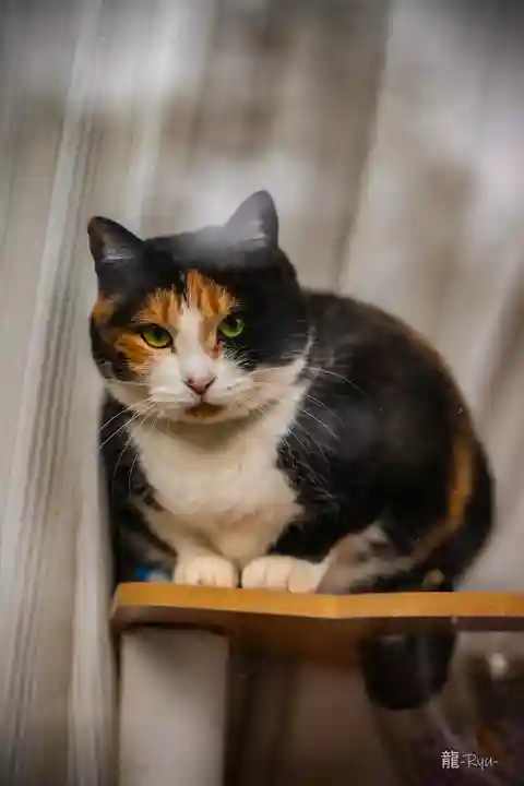熊野那智神社(宮城県)
