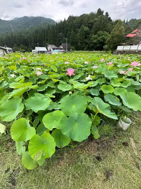 稲泉寺(長野県)