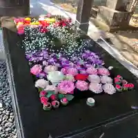 前玉神社の手水舎