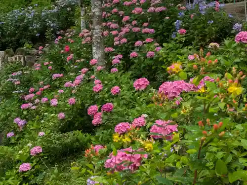 二本松寺(茨城県)