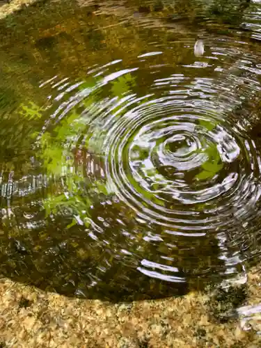 一條殿 新善光寺(京都府)