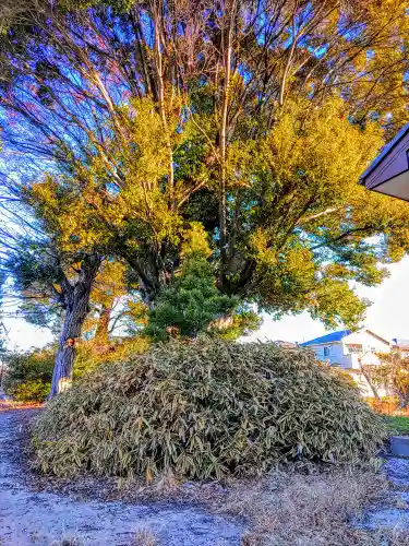 天神社（土田）の自然