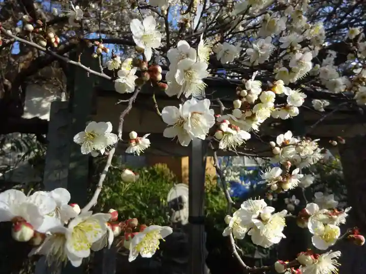 玉眞院玉川大師の自然