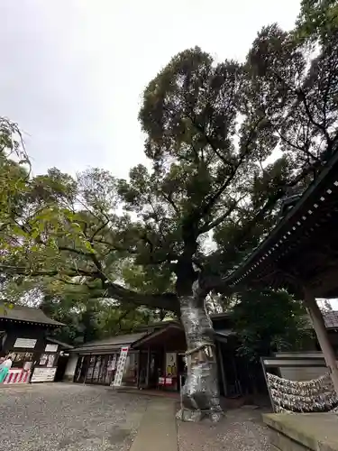 座間神社(神奈川県)